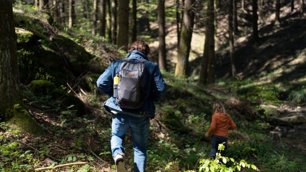 Lire la suite à propos de l’article Randonnée pédestre éco-responsable : adopter les bons gestes pour une pratique durable